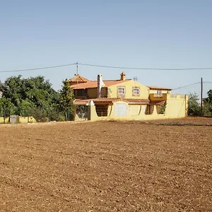 https://villa-ojuelo.in-canary-islands.com
